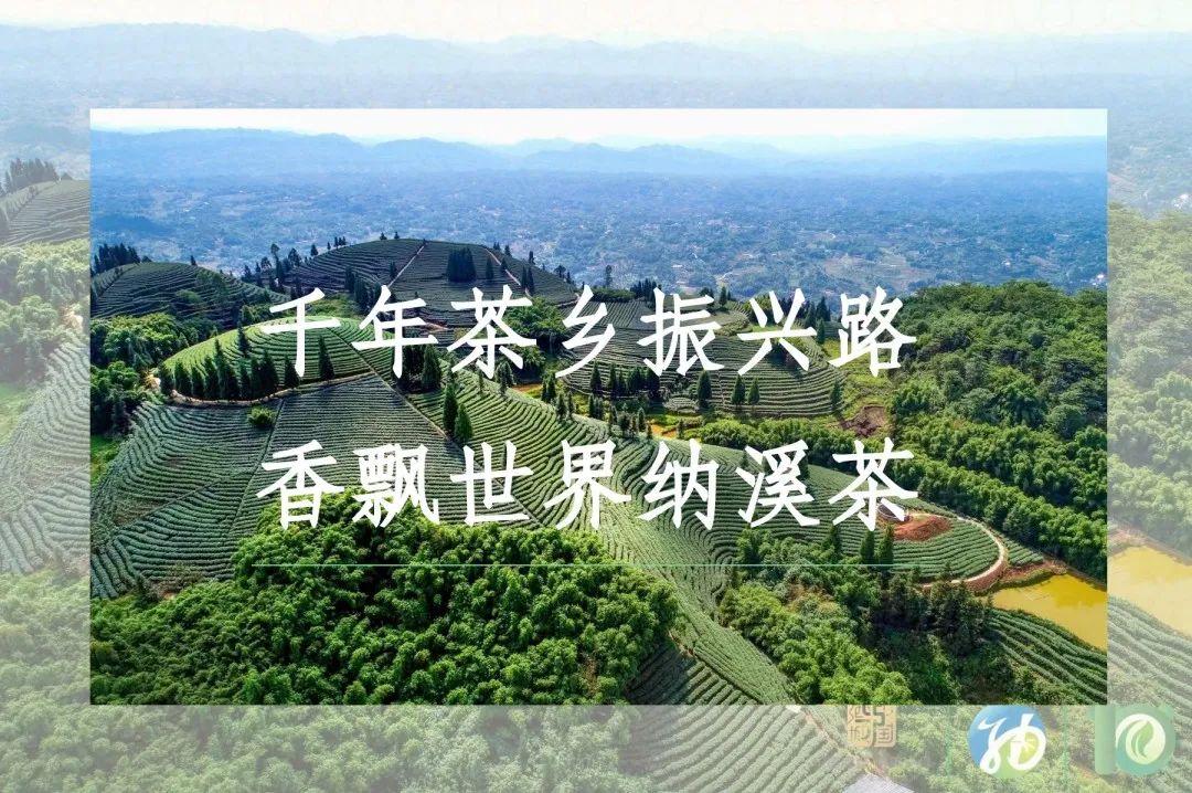 d0cd6727d8f733adcf2d21f4995d58f2.jpg 微信图片_20230313095419.jpg